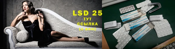 mdpv Дмитров