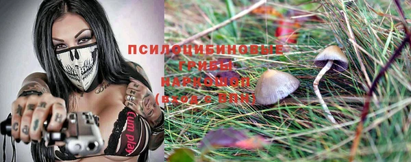 эйфоретик Дмитровск