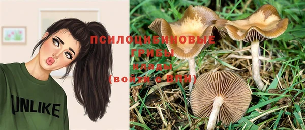 мефедрон Дмитриев
