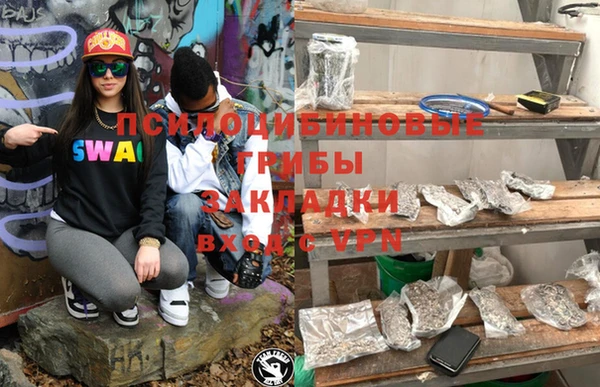 mdpv Дмитров