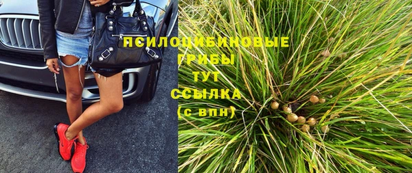 эйфоретик Дмитровск