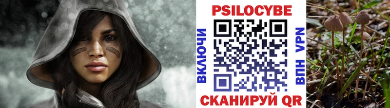 Псилоцибиновые грибы ЛСД  Купить  Губаха 